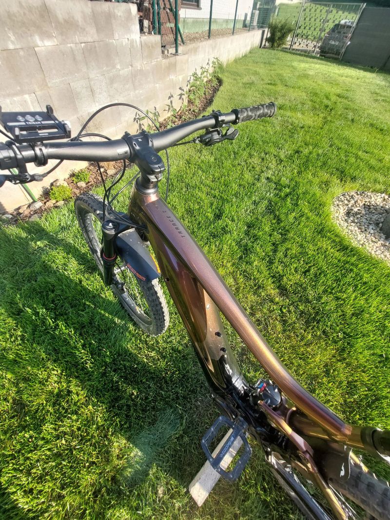 Giant Trance X E+ 3 Pro 29 (2021)