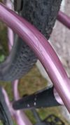 Rascal 24"