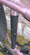 Rascal 24"