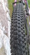Rascal 24"