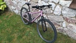 Rascal 24"