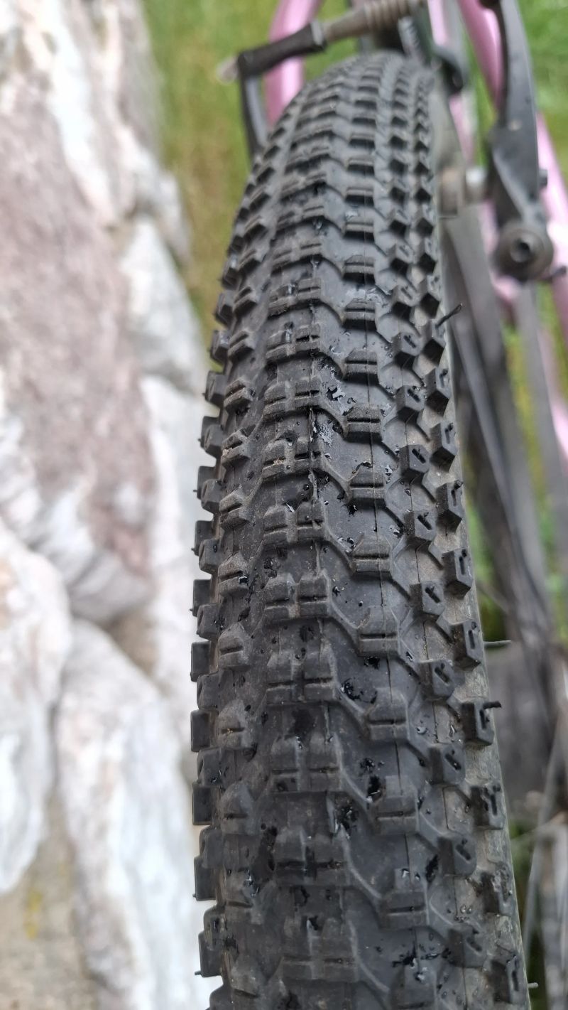 Rascal 24"
