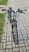 Leader Fox Spider 24