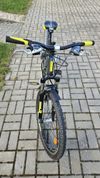 Leader Fox Spider 24