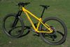 Nukeproof Scout 290