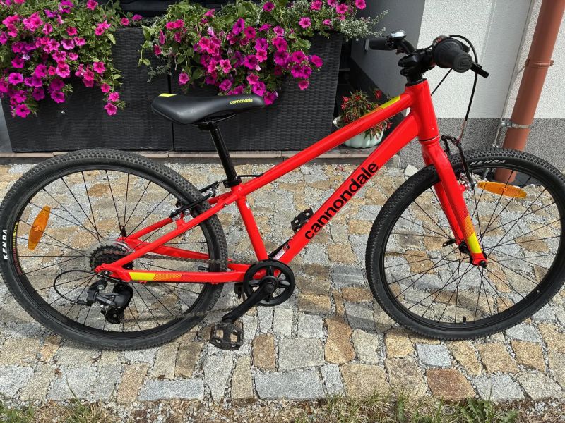 Cannondale Quick 24