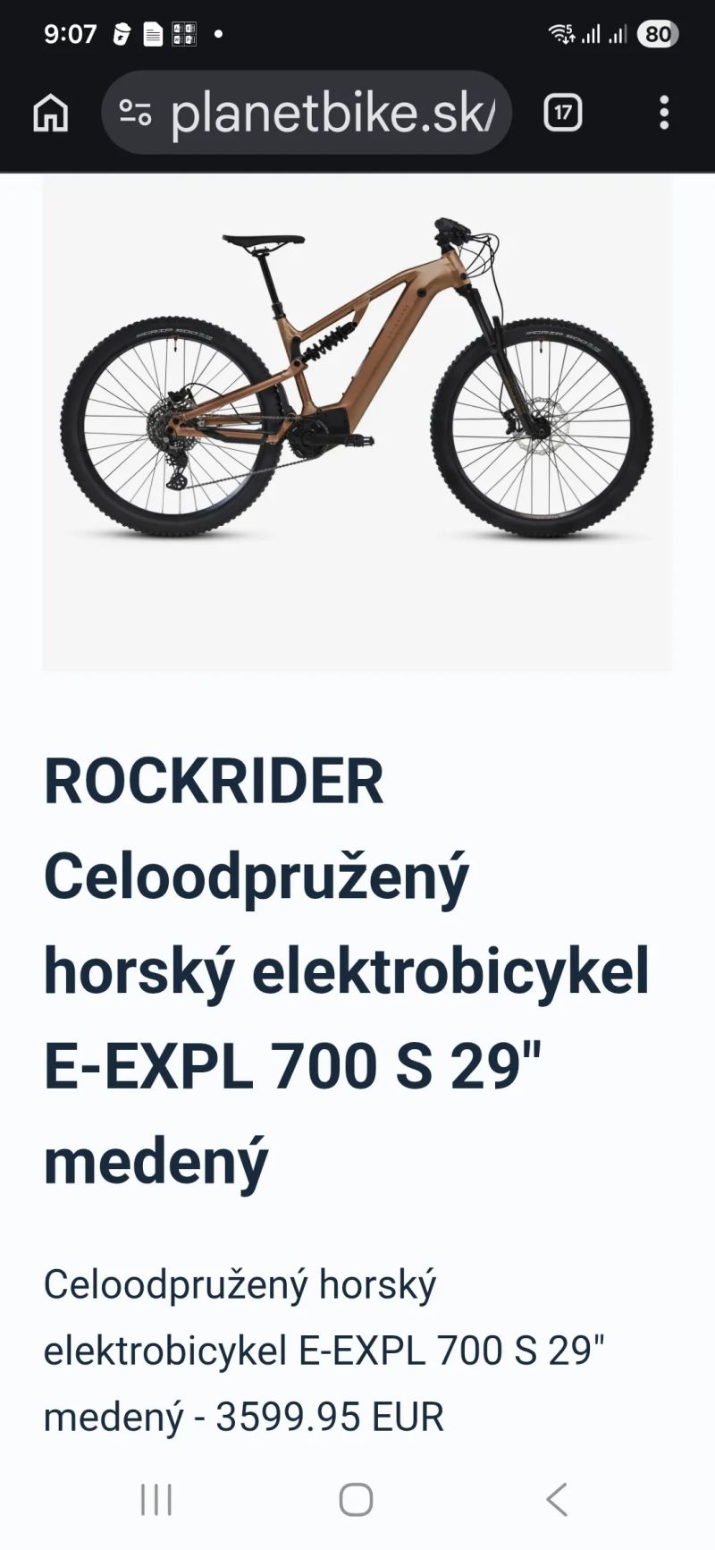ROCKRIDER E-EXPL 700 S 29"