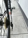 Focus Black Forest LTD 29