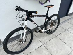 Focus Black Forest LTD 29