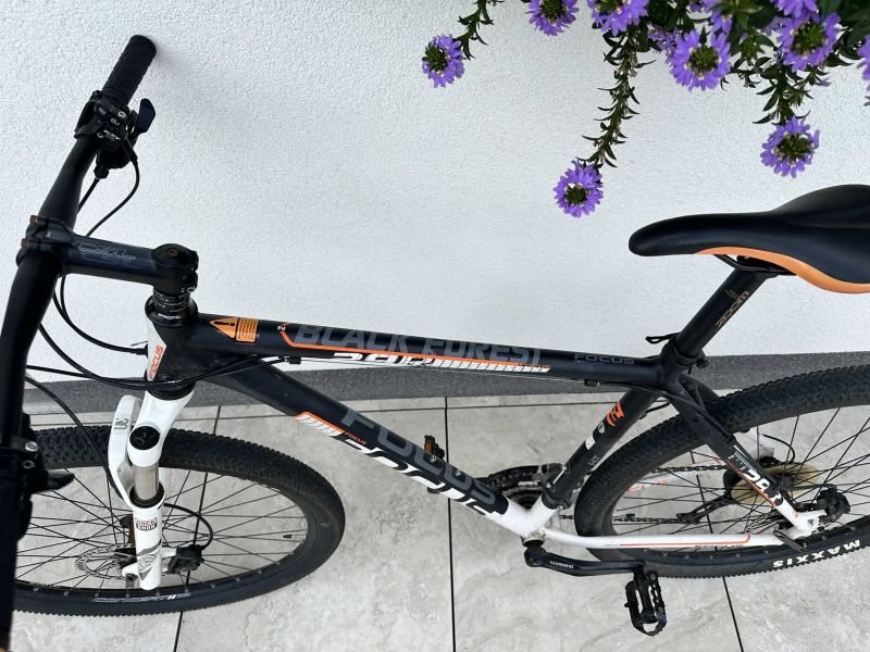 Focus Black Forest LTD 29