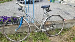 Kolo Favorit 2x - dámské a pánské 