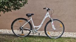 Specialized Crossroad Elite