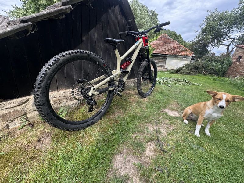 Commencal Furious