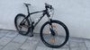 Rock Machine Torrent 50