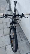 Rock Machine Torrent 50