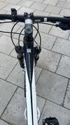 Rock Machine Torrent 50