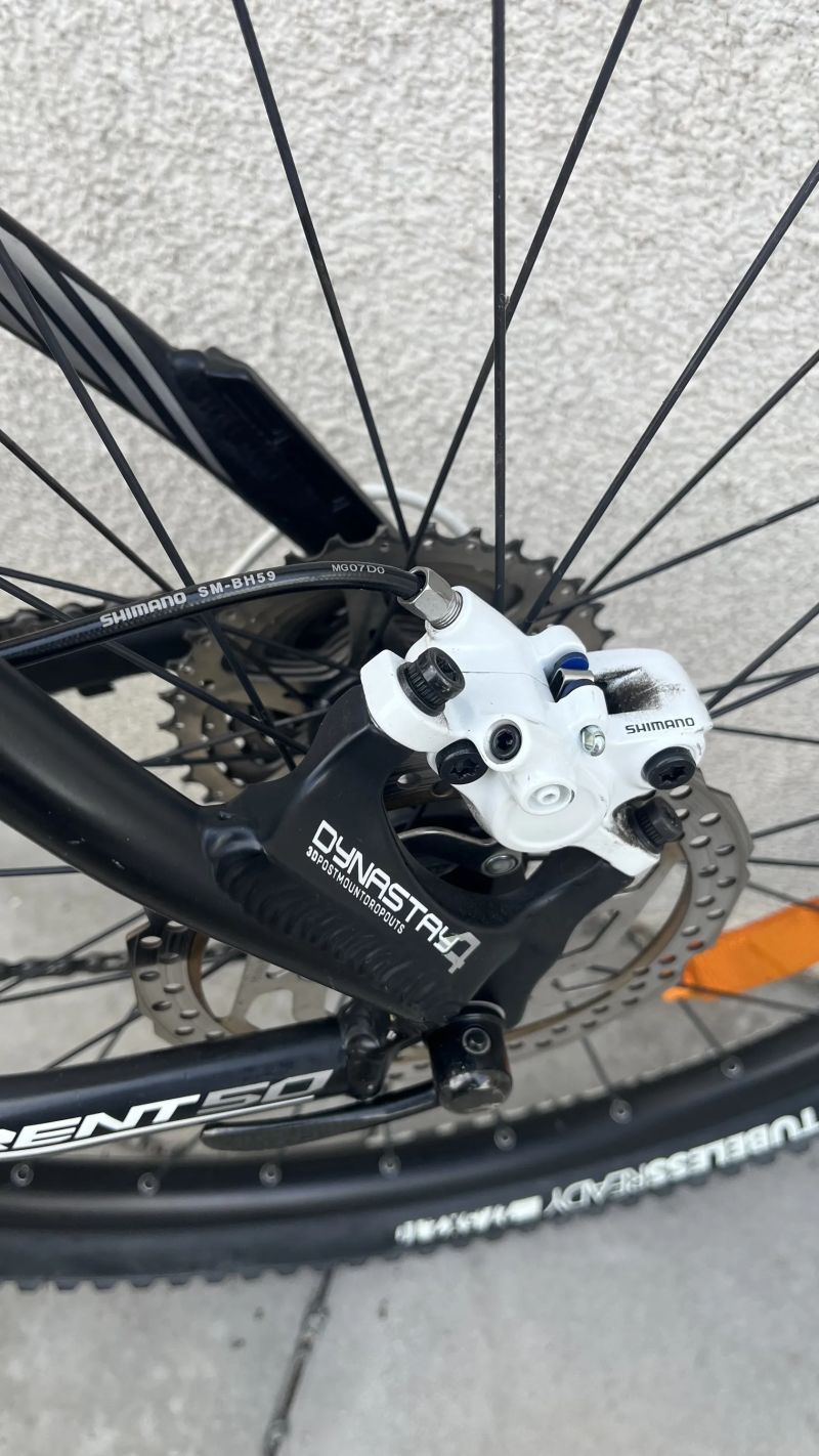 Rock Machine Torrent 50