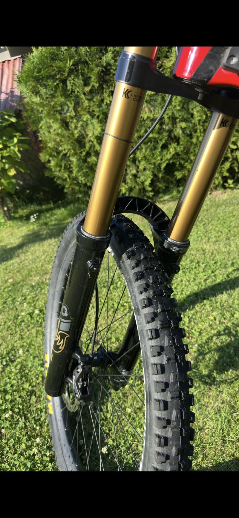 Intense m16c