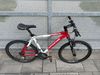 Apache Tanka Tate Diamond 26" ( PC:16.990kč ) Shimano Deore