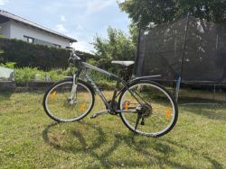 Scott Sportster