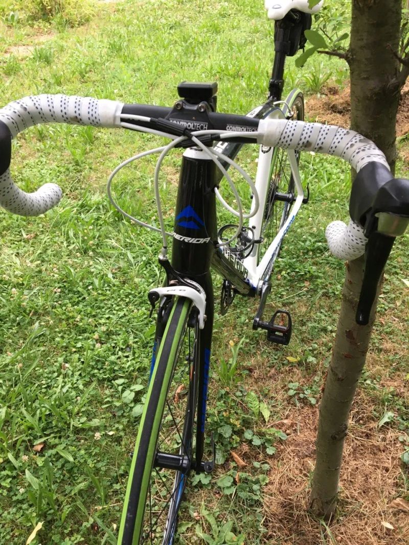 Merida Scultura CF 904