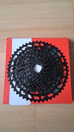 SunRace
