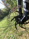 GT Sensor carbon expert
