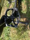 GT Sensor carbon expert