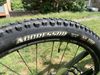 GT Sensor carbon expert