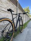 Carbon 29” boost