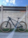 Carbon 29” boost