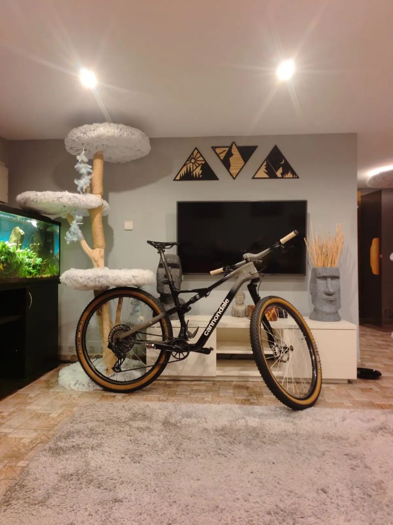 Cannondale Scalpel