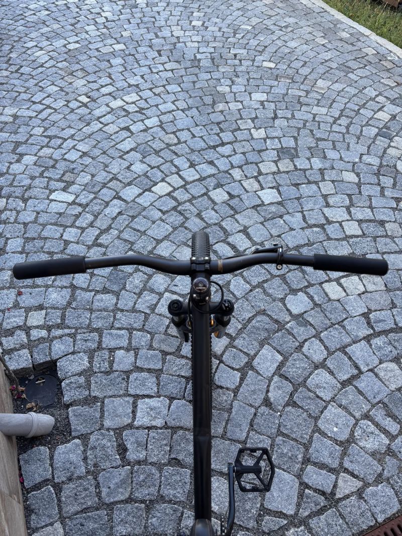 Mongoose ritual