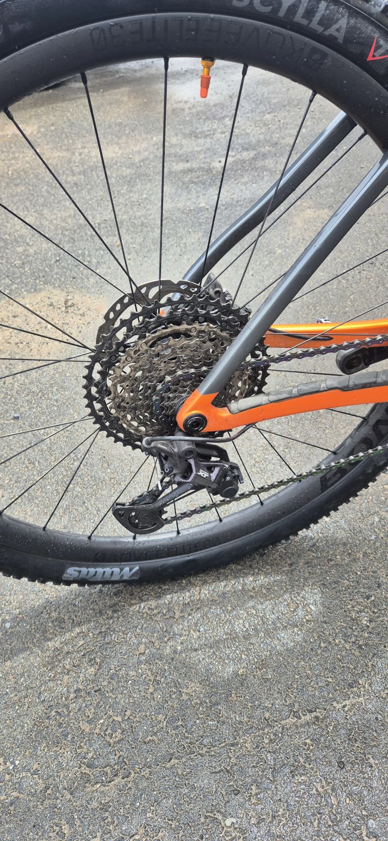Trek PROCALIBER 9.8.- KARBONOVÁ KOLA 9.8kg
