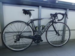 Kuota Kult