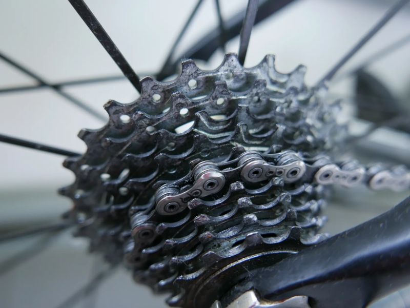 Kuota Kult
