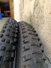 Schwalbe