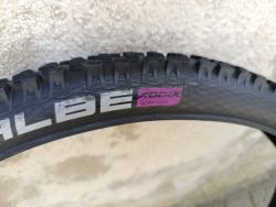 Schwalbe