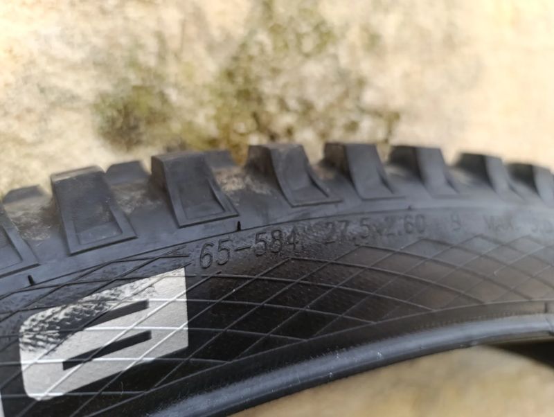 Schwalbe