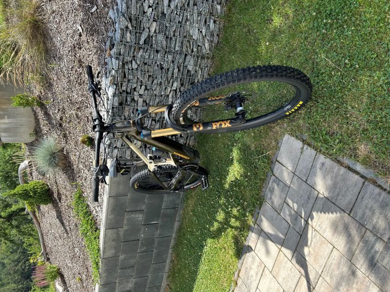 Orbea Wild M-Team