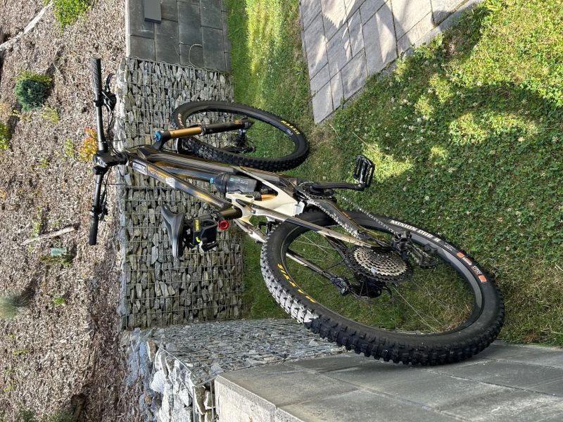 Orbea Wild M-Team