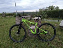 Specialized Epic FSR