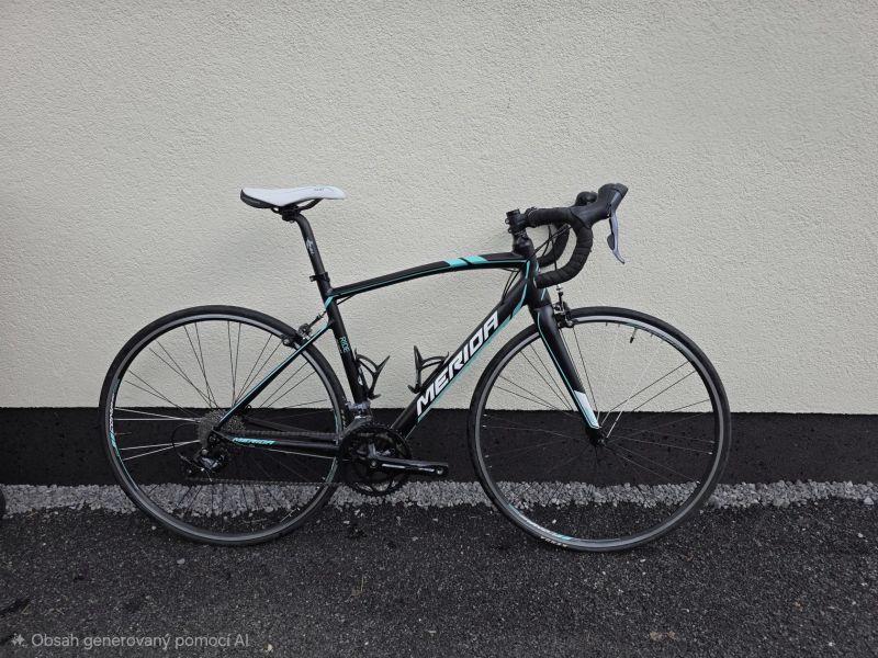 Merida Juliet Ride 100