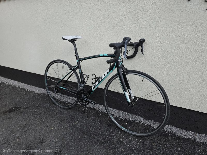 Merida Juliet Ride 100
