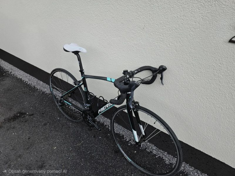 Merida Juliet Ride 100