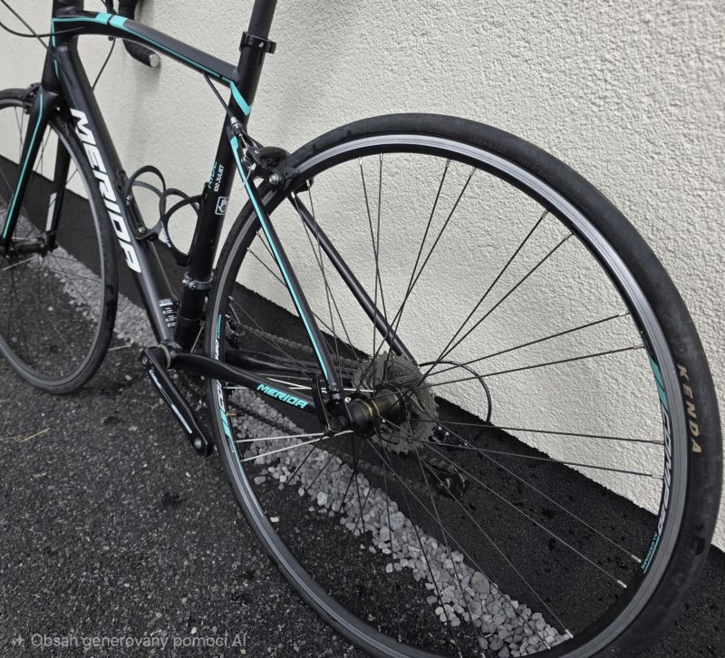 Merida Juliet Ride 100