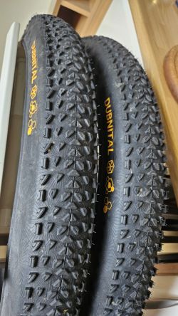 Continental Dubnica 39 2,4
