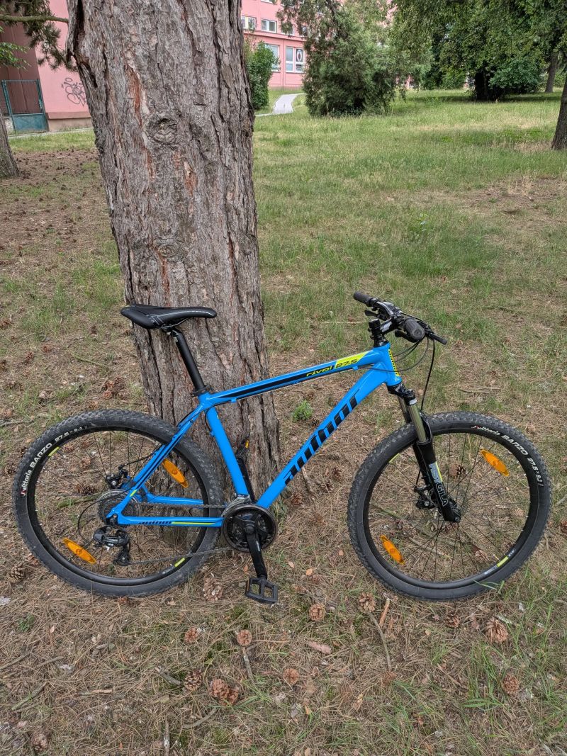 Author Rival Rival 27.5