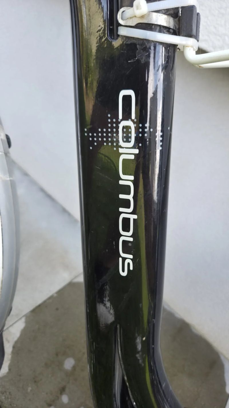 Columbus Antilope