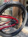 Rascal Wild 24”